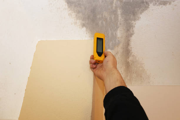 Best Residential Mold Inspection & Testing  in Millvale, PA